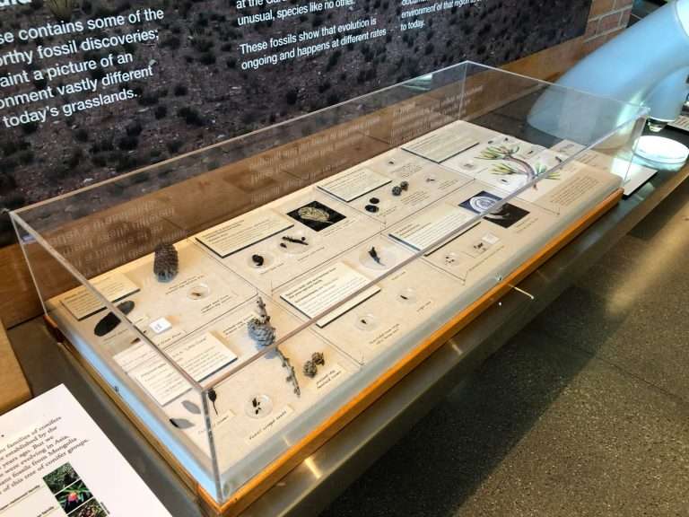 Large clear acrylic cover case over a museum specimen exhibit with labels.