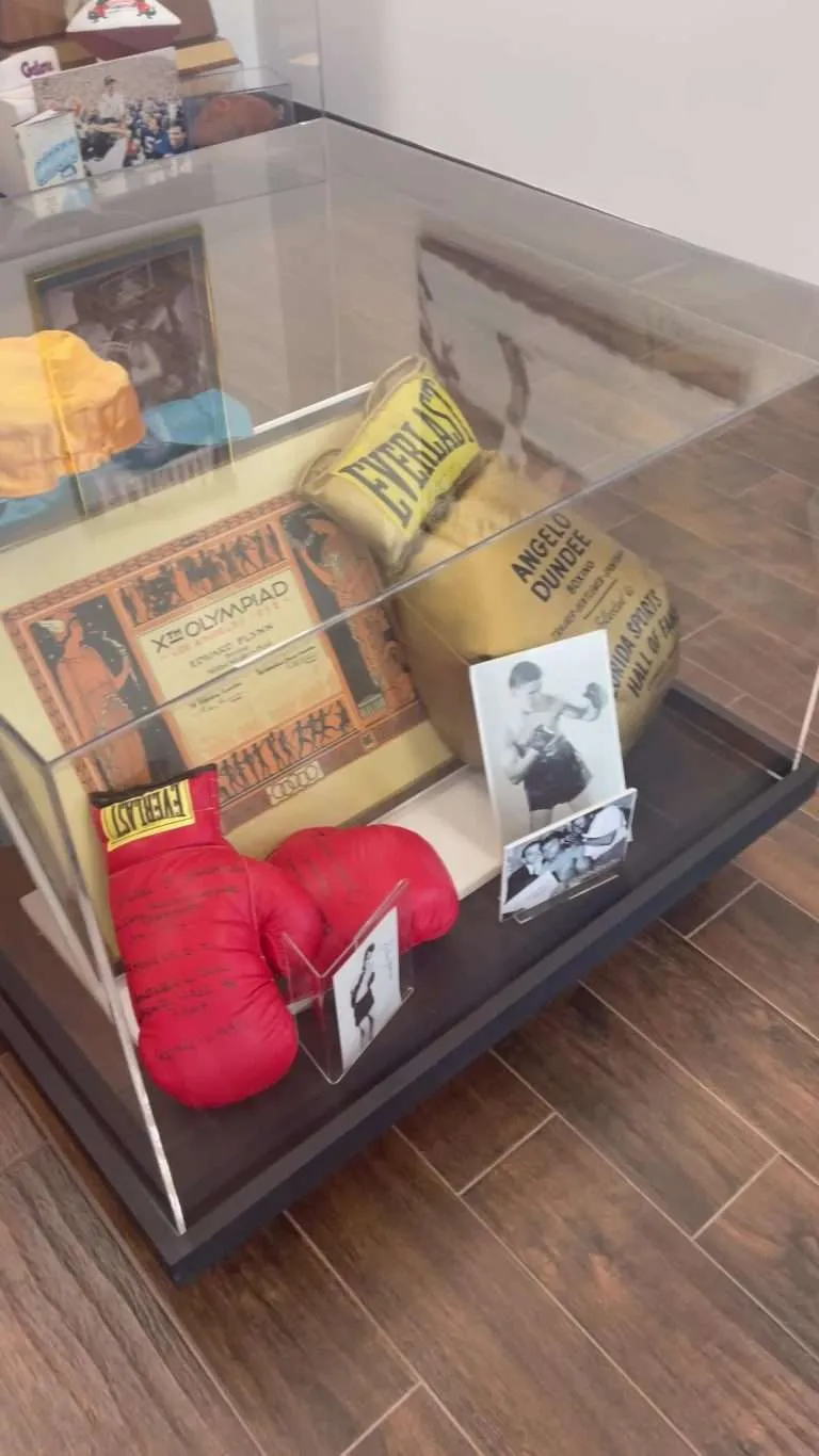 Countertop clear acrylic case displaying boxing gloves and memorabilia